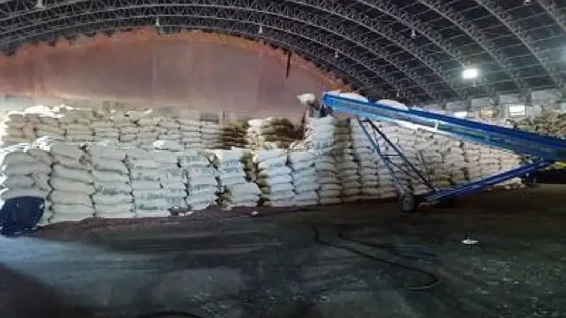 Cacau importado desembarca em Ilhéus, derruba preço e produtores cogitam protesto no porto