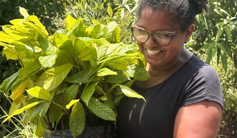 Prefeitura de Itabuna entrega cinco mil mudas de cacau clonado a associações rurais