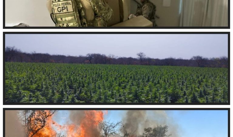 FICCO/Ilhéus combate organização criminosa em seis estados