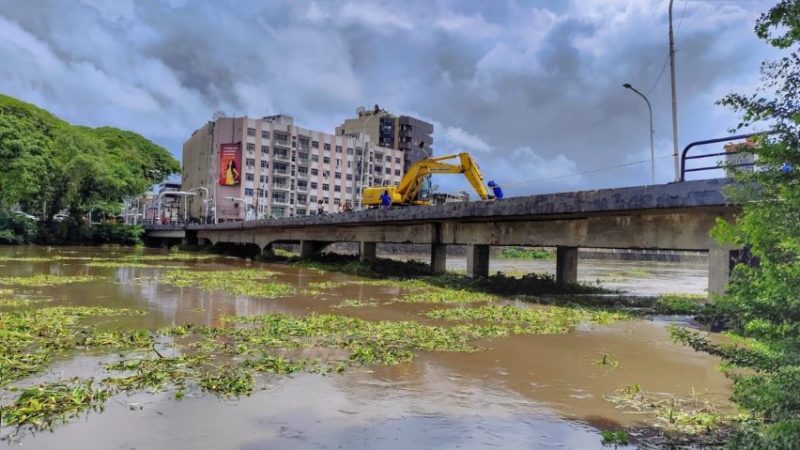 Prefeitura de Itabuna conclui a remoção de baronesas e da vegetação encalhada na Ponte Miguel Camon