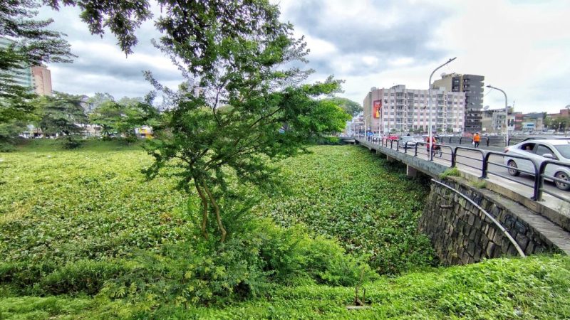 Ponte Miguel Calmon será interditada para retirada de baronesas após cheia do Rio Cachoeira
