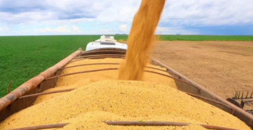 PIB do agronegócio baiano soma R$ 19,2 bilhões no primeiro trimestre de 2026